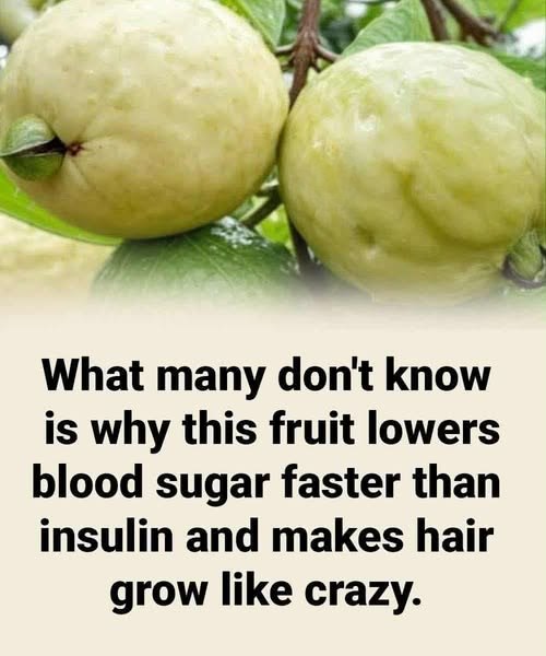 Uncover the efficacy of this wonder crop to reduce glucose levels