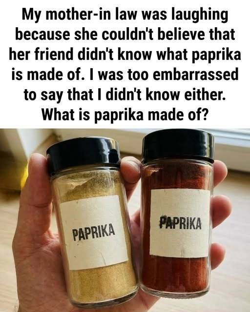 Paprika Unmasked: The Ordinary Ingredient Behind the World’s Most Surprising Spice