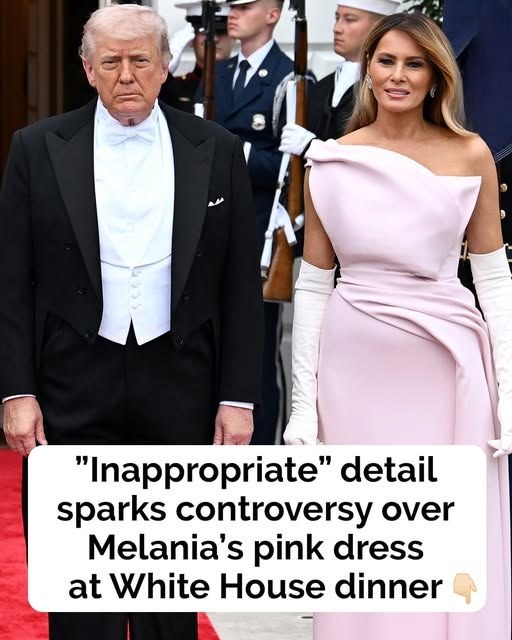 A Blush Dior Gown at a Royal Banquet That Sparked Global Debate Over Protocol and Power