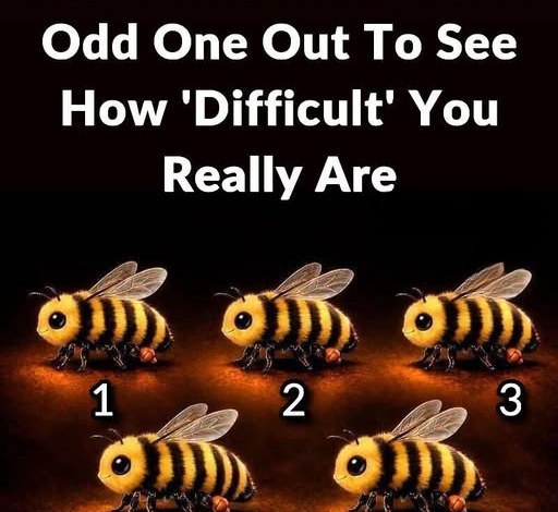 WHAT YOUR CHOICE IN THIS INTRICATE IMAGE REVEALS ABOUT YOUR HIDDEN SELF