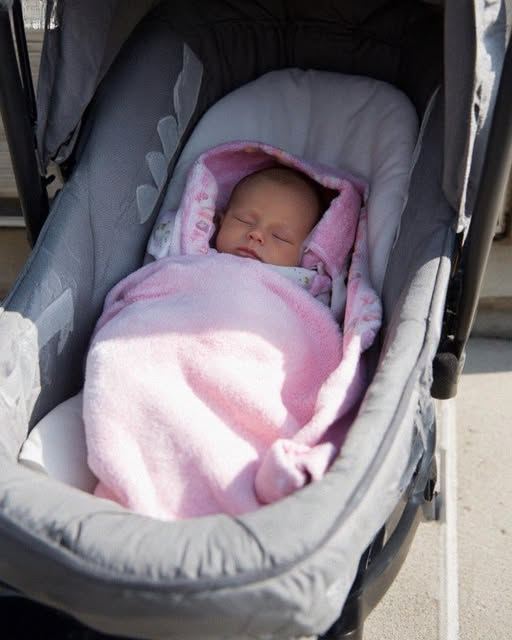 I Became a Surrogate for My Sister and Her Husband – But Just Days After Giving Birth, They Left the Baby on My Doorstep.