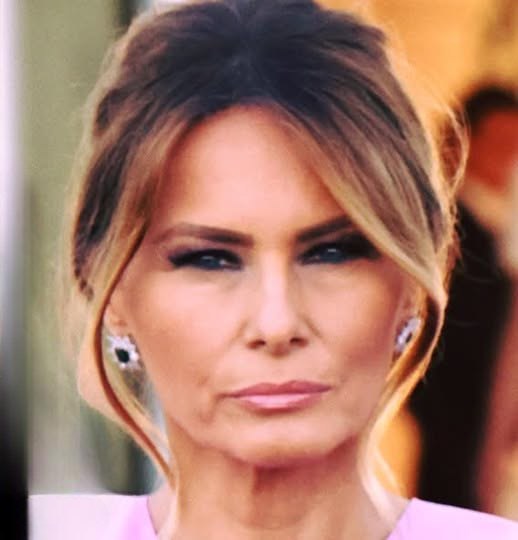 Professionals Offer Perspectives on the Beauty and Skincare Habits of Melania Trump
