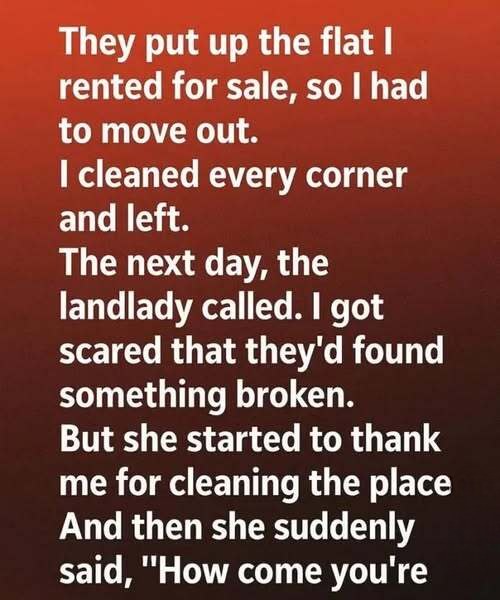 The Quiet Goodbye: How My Landlady’s 3 A.M. Inspection Turned Into a Phone Call That Changed the Way I See Life