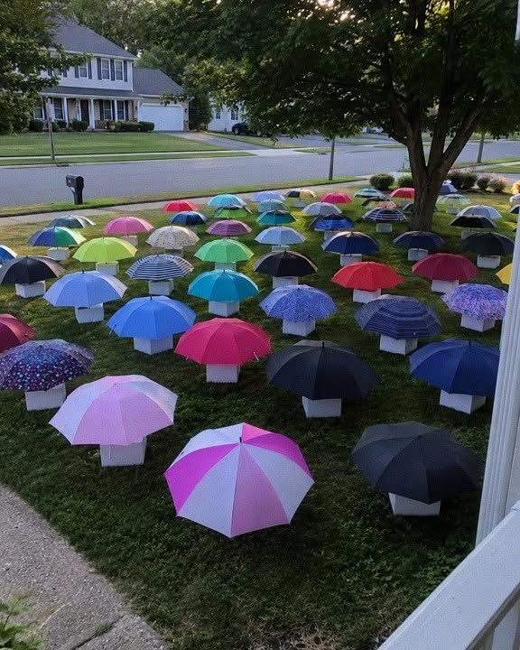 My Son Gave His Umbrella to a Pregnant Stranger During a Storm – The Next Morning, Forty-Seven Umbrellas Covered Our Yard, and What Was Inside the Boxes Left Me Speechless