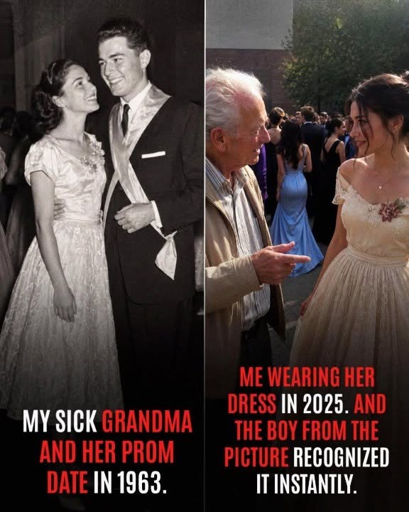 A Mysterious Elderly Man Recognized My Grandmother’s Prom Dress at My Dance – Taking Him to Meet Her Changed Everything