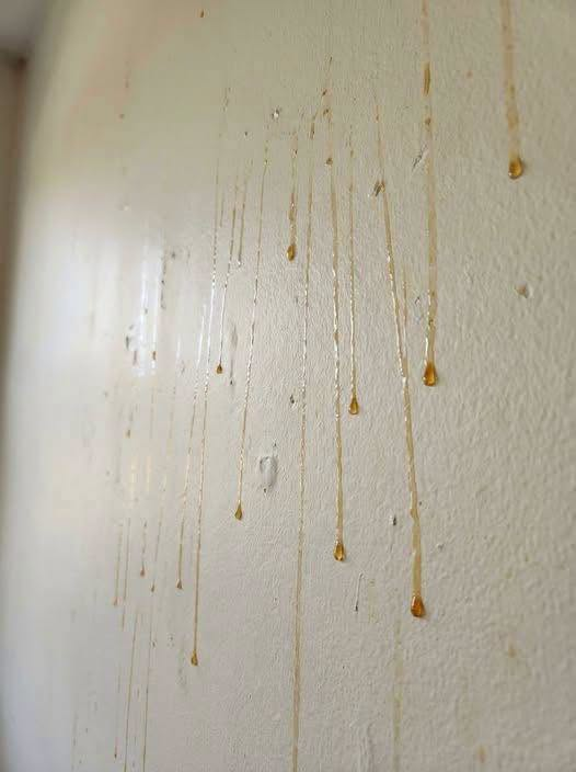 THE ALARMING REASON YELLOW GOO IS DRIPPING DOWN YOUR BATHROOM WALLS — AND WHY YOU MUST DEAL WITH IT NOW BEFORE IT CAUSES SERIOUS DAMAGE