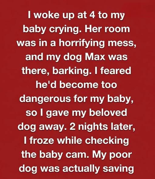 I Thought My Dog Had Become a Danger—But He Was the One Who Had Been Saving Us All Along