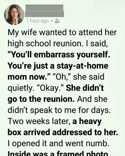 I EMBARRASSED MY WIFE ABOUT HER HIGH SCHOOL REUNION — THEN A SOLO PACKAGE CAUSED ME TO VIEW HER WHOLE LIFE IN A NEW LIGHT.