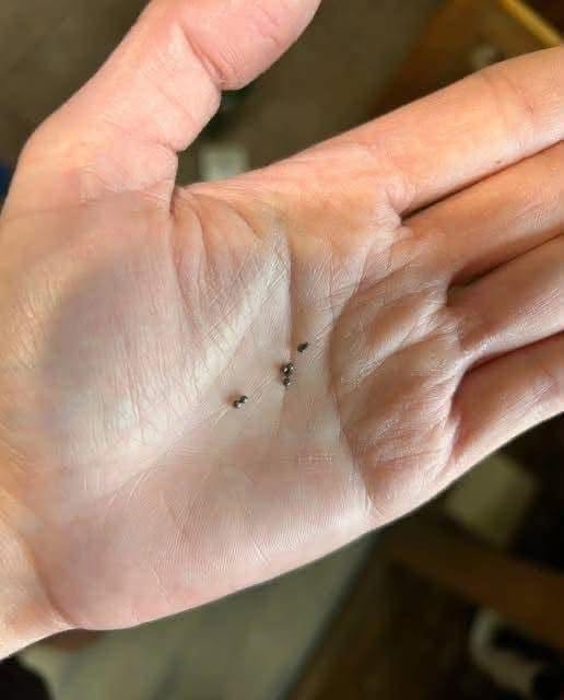 Discovered Metal Balls Beneath Your Sink? This Is What They Signify